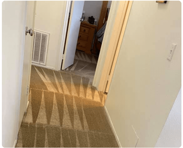 Best Carpet Cleaning Preston