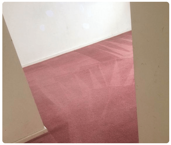 Carpet  Cleaning Preston